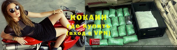 шишки Приозерск