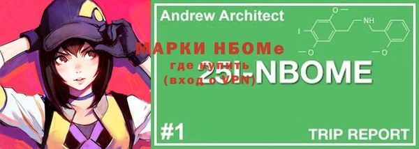 шишки Приозерск