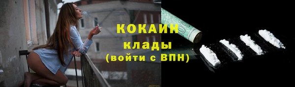 шишки Приозерск