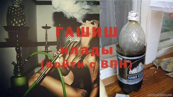 шишки Приозерск