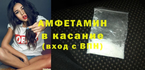 шишки Приозерск