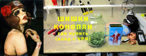 сатива Зерноград