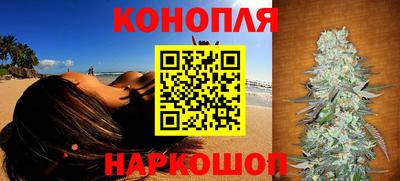 наркотики Кингисепп