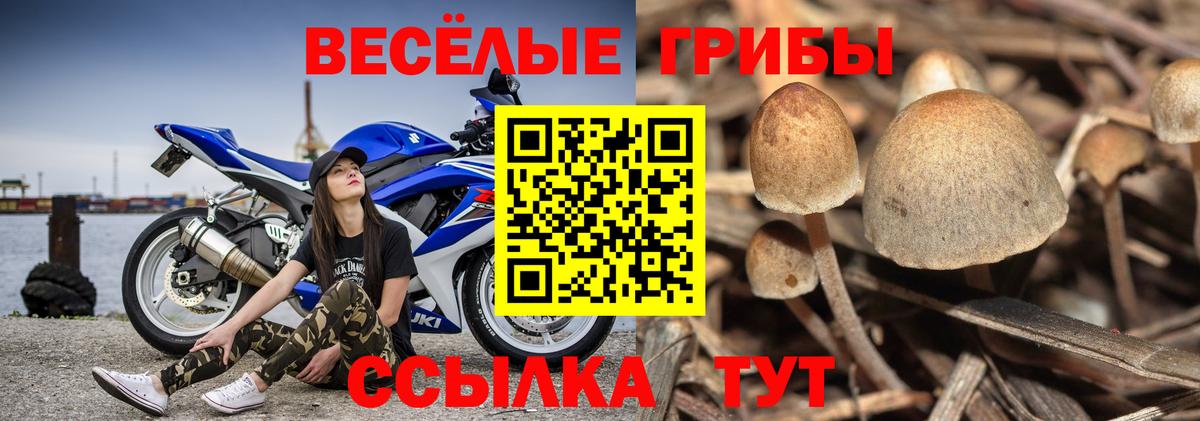 Героин  Канск  Вход с VPN  Лсд 25  МЕФ   ГАШИШ  Бошки Шишки  Cocaine  Alpha PVP СК кристаллы 